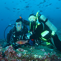 Galapagos Diving