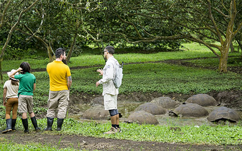 Galapagos Rainy Season